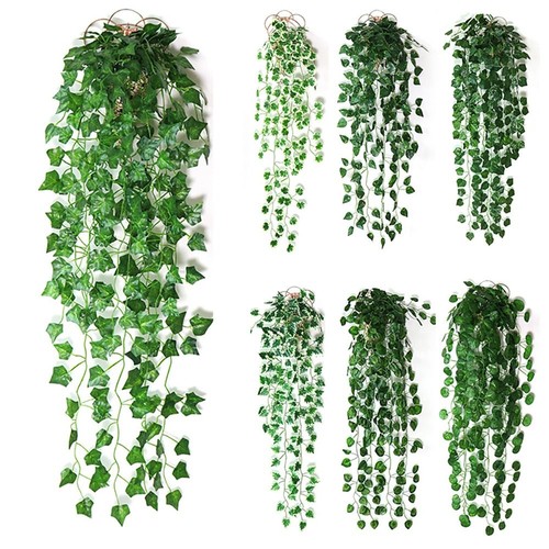 Home decor foliage - decor, trailing